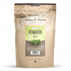 Romarin - 1 Kg de poudre