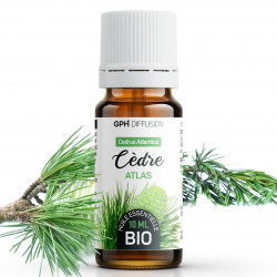 Huile Essentielle de Cèdre Atlas Bio 10ml