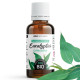 Huile Essentielle de Eucalyptus Citriodora Bio 30ml