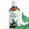 Huile Essentielle de Eucalyptus Citriodora Bio 50ml
