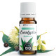 Huile Essentielle d'Eucalyptus Globulus Bio 10ml