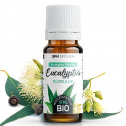 Huile Essentielle d'Eucalyptus Globulus Bio 10ml