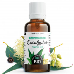 Huile Essentielle d'Eucalyptus Globulus Bio 30ml