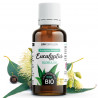 Huile Essentielle d'Eucalyptus Globulus Bio 30ml