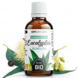 Huile Essentielle d'Eucalyptus Globulus Bio 50ml