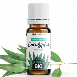 Huile Essentielle d'Eucalyptus Radiata Bio 10ml