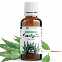 Huile Essentielle d'Eucalyptus Radiata Bio 30ml