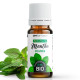 Huile Essentielle de Menthe Poivrée Bio 10ml