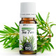 Huile Essentielle de Tea Tree Bio 10ml