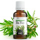 Huile Essentielle de Tea Tree Bio 30ml