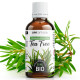 Huile Essentielle de Tea Tree Bio 50ml