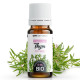 Huile Essentielle de Thym Thymol Bio 10ml