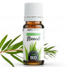 Huile Essentielle de Niaouli Bio 10ml