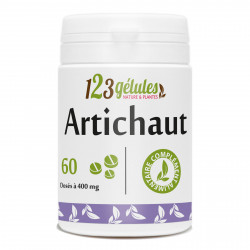 Artichaut-60 comprimés à 400 mg
