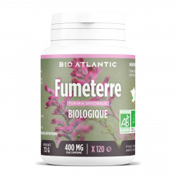 Fumeterre 120 comprimés Bio