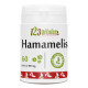 Hamamelis - 60 comprimés à 400 mg