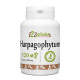 Harpagophytum- 120 comprimés à 400 mg
