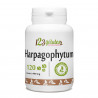 Harpagophytum- 120 comprimés à 400 mg