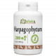 Harpagophytum- 200 comprimés à 400 mg