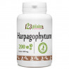 Harpagophytum- 200 comprimés à 400 mg