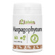 Harpagophytum - 60 comprimés à 400 mg