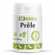 Prêle - 60 comprimés à 400 mg