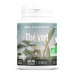 Thé Vert biologique- 120 comprimés à 400 mg