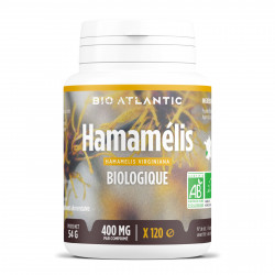 Harpagophytum Bio - 120 comprimés à 400 mg