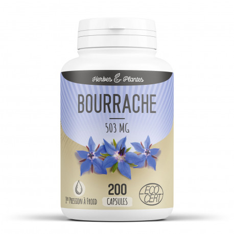 Bourrache Bio - 503 mg - 200 Capsules - Herbes & Plantes