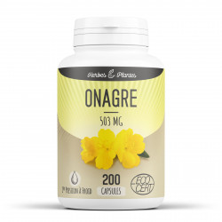 Onagre Bio - 503 mg - 200 Capsules - Herbes & Plantes