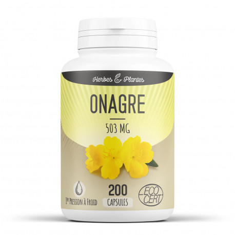 Onagre Bio - 503 mg - 200 Capsules - Herbes & Plantes