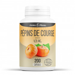 Pépin de Courge Bio - 420 mg - 200 Capsules - Herbes & Plantes