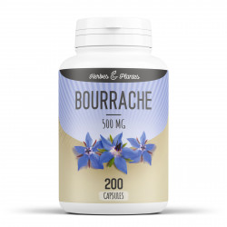 Bourrache - 500mg - 200 Capsules - Herbes & Plantes