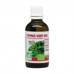Cyprés vert bio - 50 ml