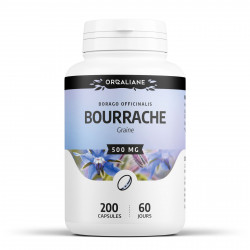 Bourrache - 200 capsules à 500 mg