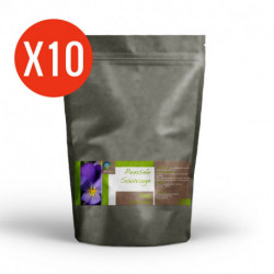 Pensée Sauvage - 10 kg de poudre