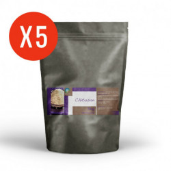 Chitosan - 5 Kg de poudre