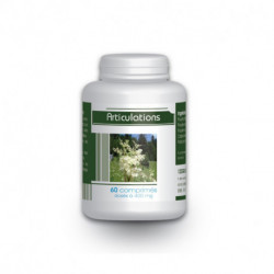 Articulation - 60 Comprimés à 400 mg