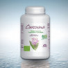 CURCUMA
