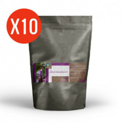 Desmodium -10 Kg de poudre
