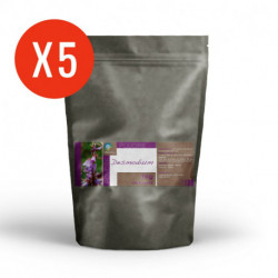 Desmodium - 5 Kg de poudre
