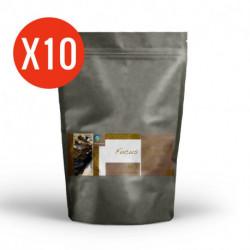 Algue Fucus - 10 Kg de poudre