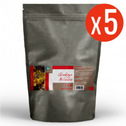 Ginkgo Biloba - Poudre 5 kg