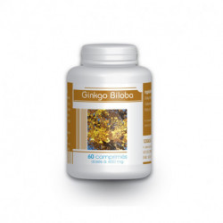 Ginkgo Biloba - 60 comprimés à 400 mg