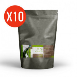 Ortie feuille - 10 Kg de poudre